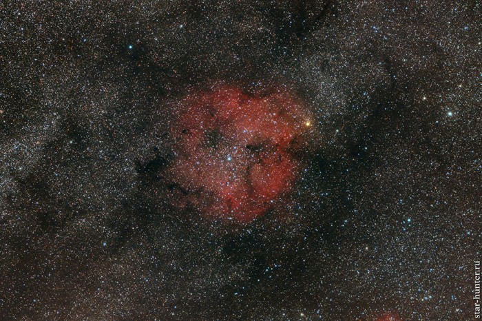 IC 1396   . 4  2019 .