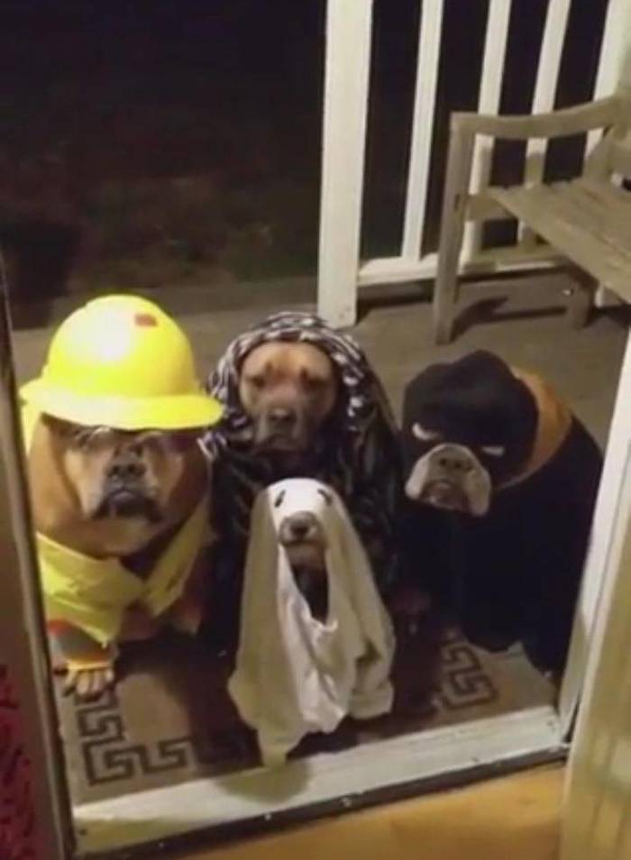 Какой-то странный Хеллоуин