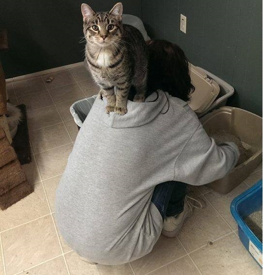 ������ ��� �������, ���