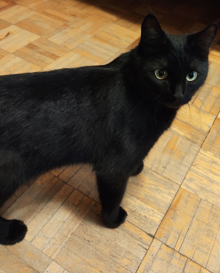 Ÿ ������ ����