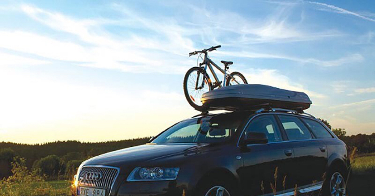 Thule DOCKGRIP 895