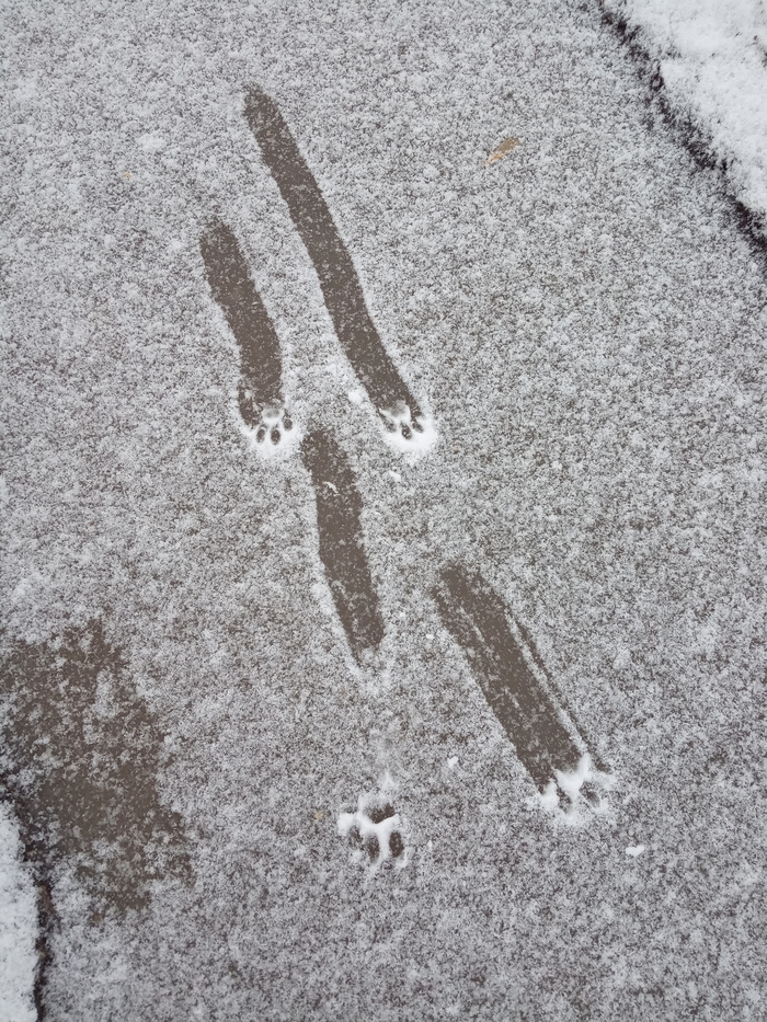 ������������ ���...