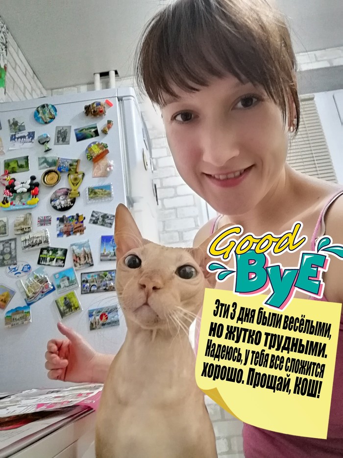 ������� ����������� ����