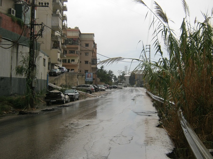 Отдых в Ливане (3) Ливан, Отдых, Активный туризм, Митинг, Протест, Сергелектрик, Длиннопост