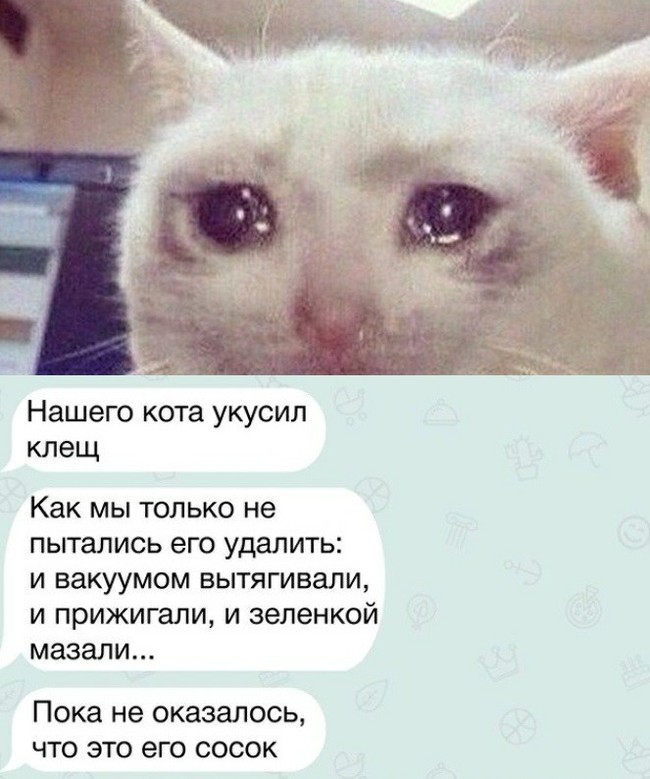 !!! , , , , 