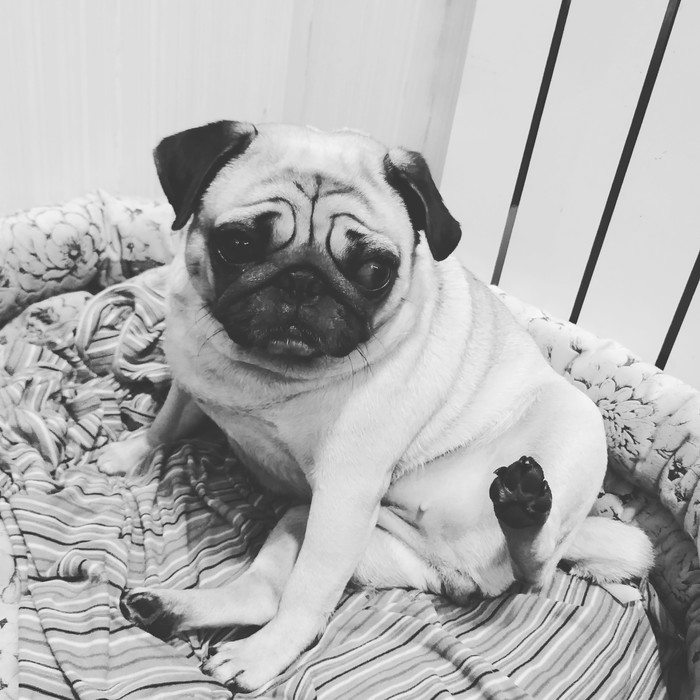 Хорошие девочки тоже умеют делать ХОБА...!!!