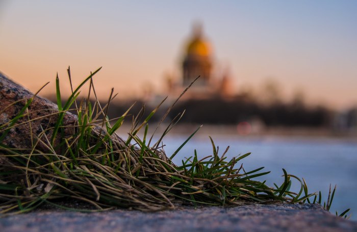 "...а снится нам трава, трава у дома..."