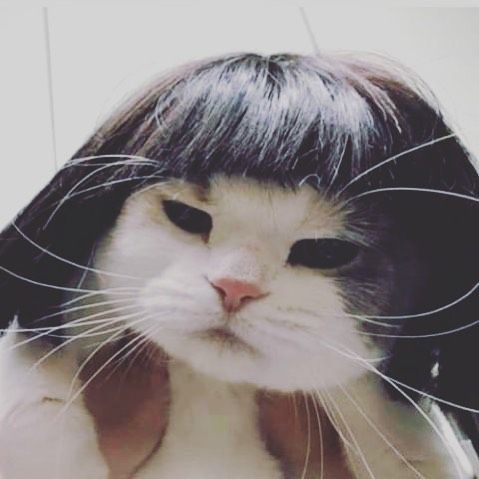 Hello there!
