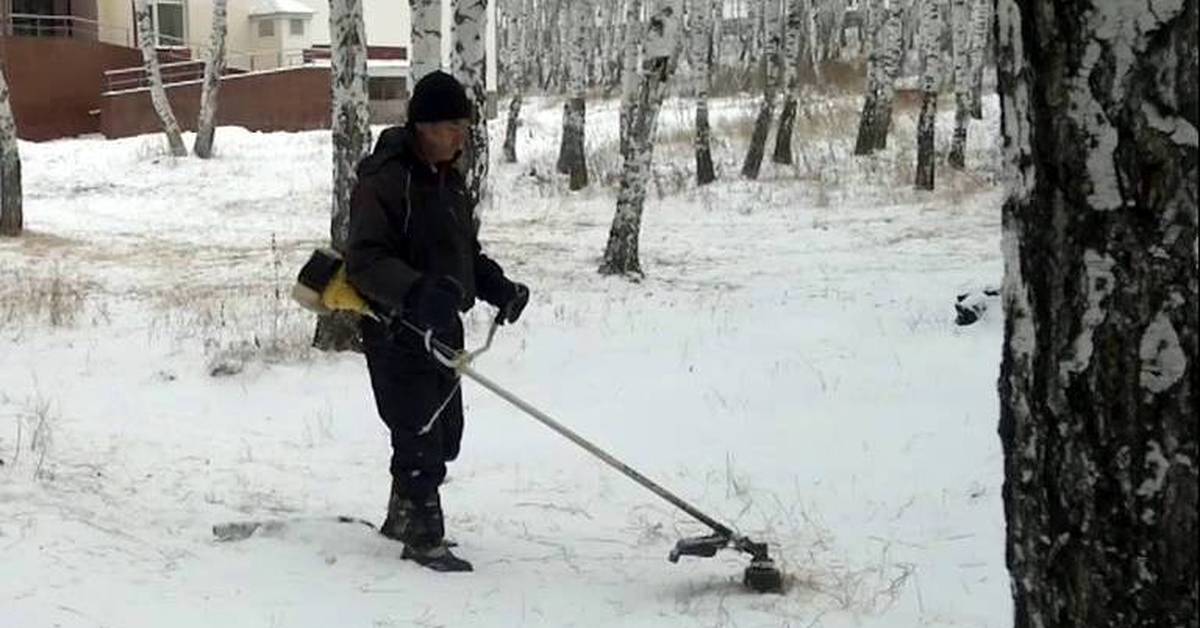 Убери зиму. Косят траву под снегом. Косят траву в снег. Косят траву зимой. Зимнее кошение травы.