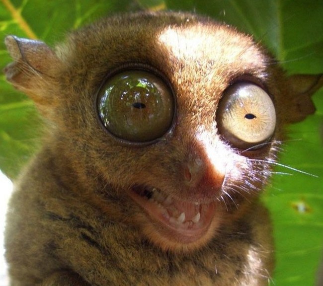 Когда уронил что-то у друга дома, и делаешь вид, что оно само упало)