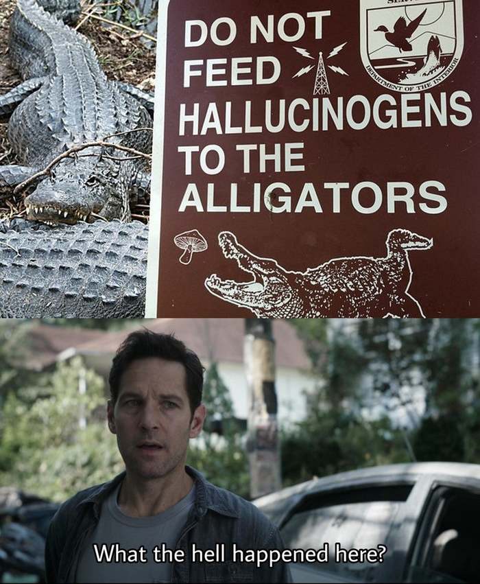 �� ������� ����������� ���������������� �������