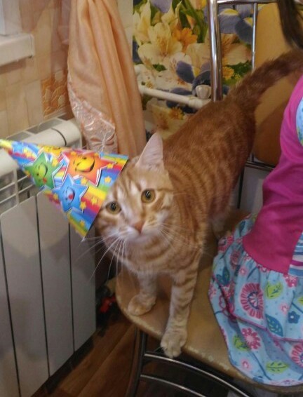 ��� ������ �������� � ���,�������,��� ������ ����...