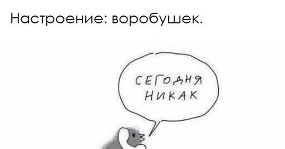 Воробушек социофобушек. Воробушек социофобушек картинка. Воробушек социофобушек Мем. Воробушек юмор пикабу