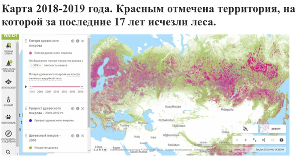 Леса сибири карта