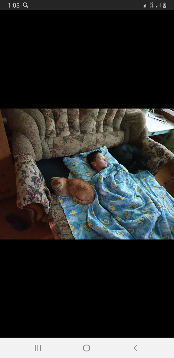 Найди собаку...