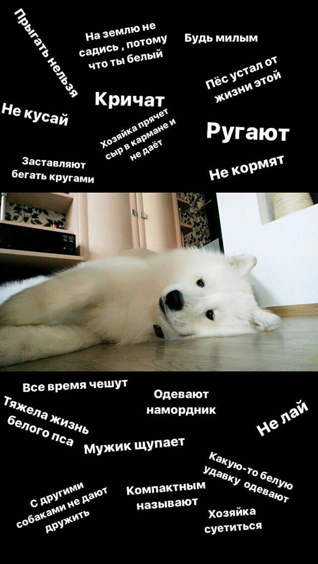       :}
