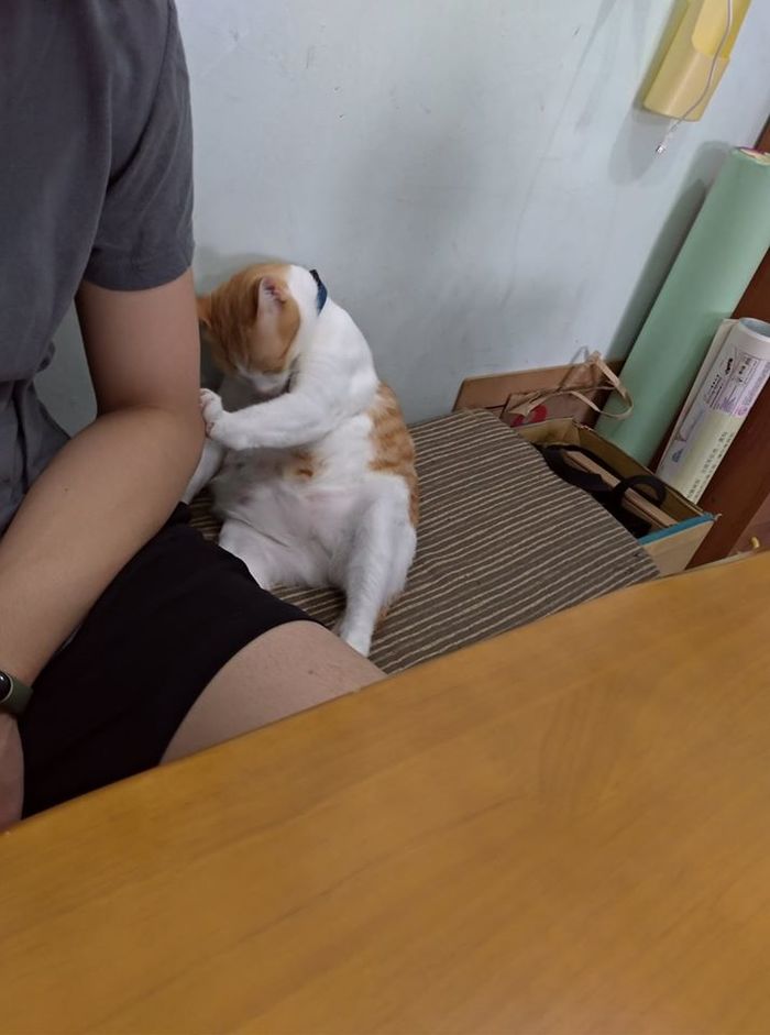    , , , , , 