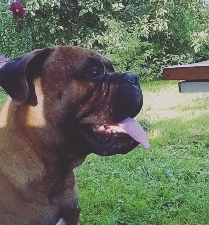 ����������