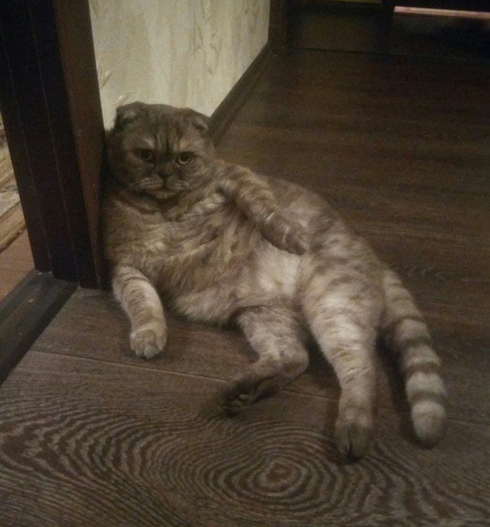 ����� ����� �������� ����