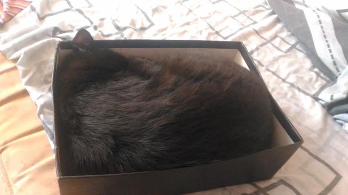 ��� �� �������