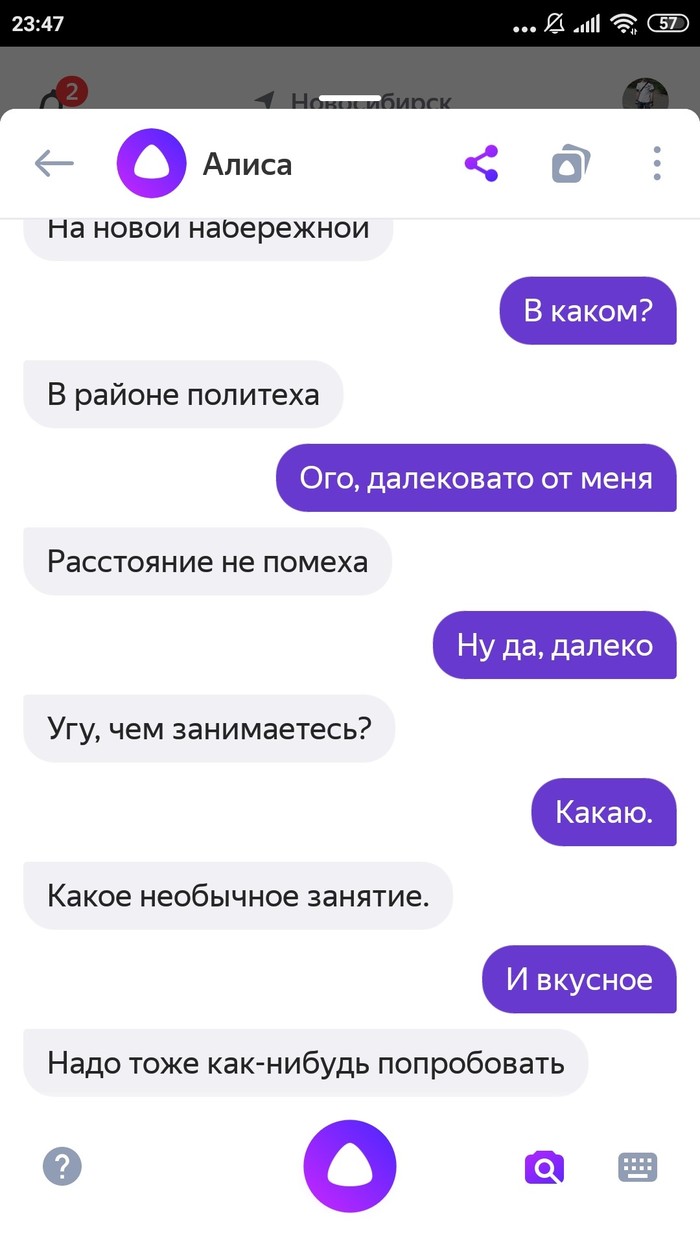 Алиса и немного бреда перед вам перед сном))