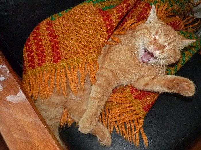 ��������� ���������!