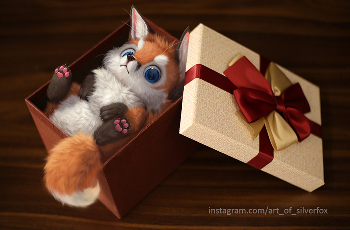 Fox in a Box Silverfox5213, , , , , 