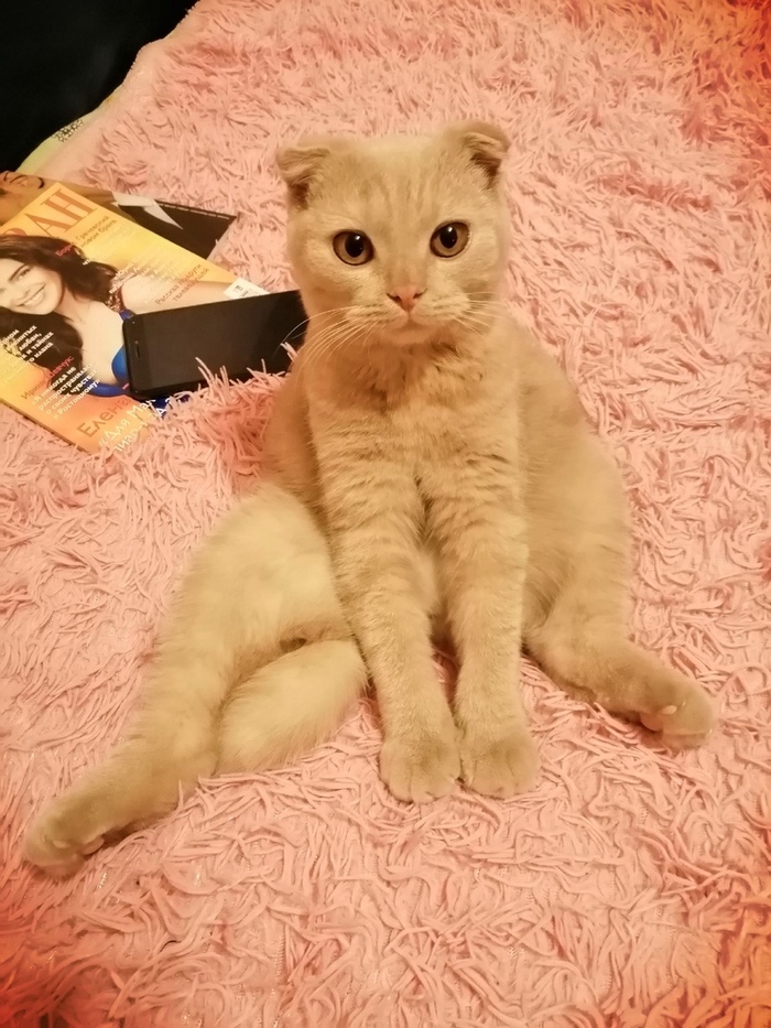 � ����� ������� ������!