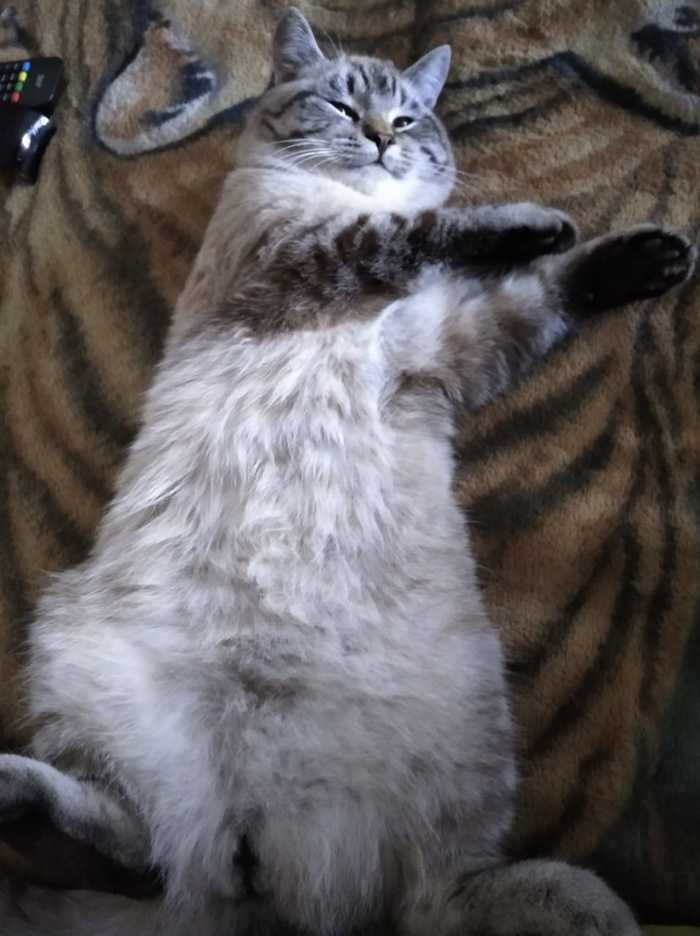 Что смотришь? Тебе туда...на работу