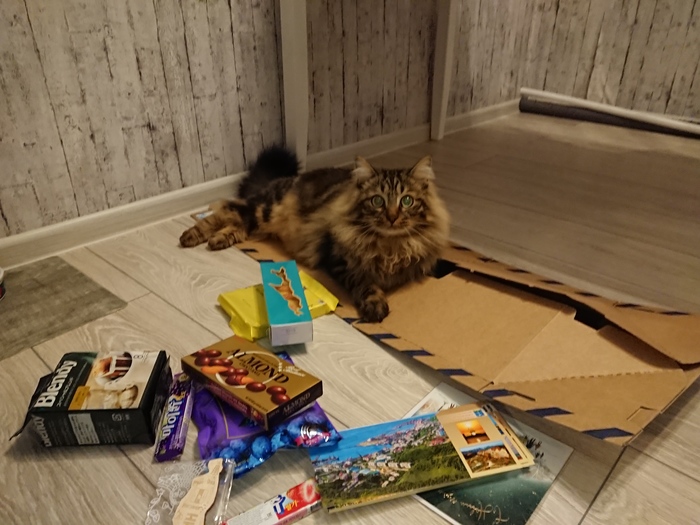 Обмен подарками первый опыт