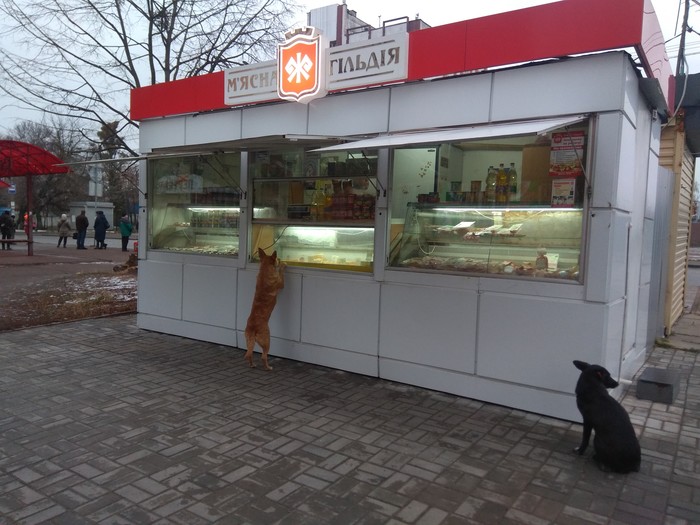 ���� ���������� �� � ����