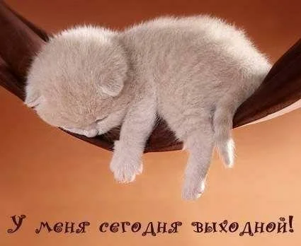  -  , , ,  , , 
