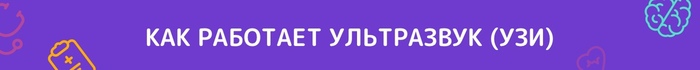 Как выглядит извини в картинках. Смотреть фото Как выглядит извини в картинках. Смотреть картинку Как выглядит извини в картинках. Картинка про Как выглядит извини в картинках. Фото Как выглядит извини в картинках
