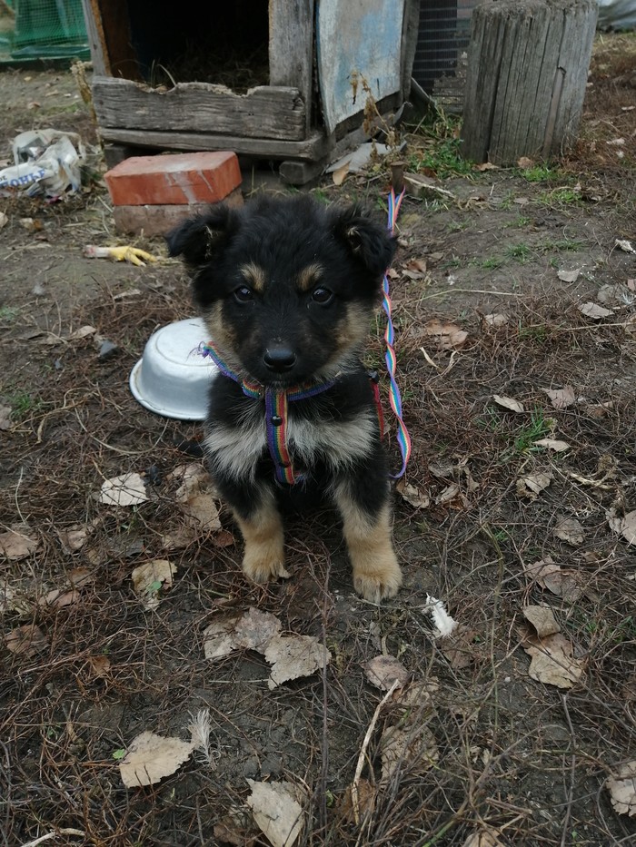 У дочки появился новый друг