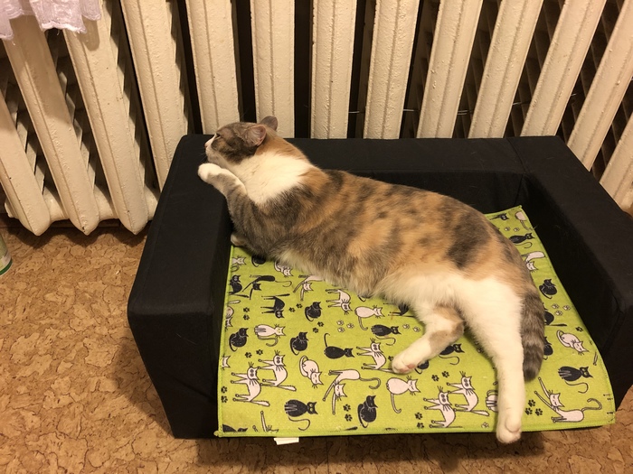 Все надоело