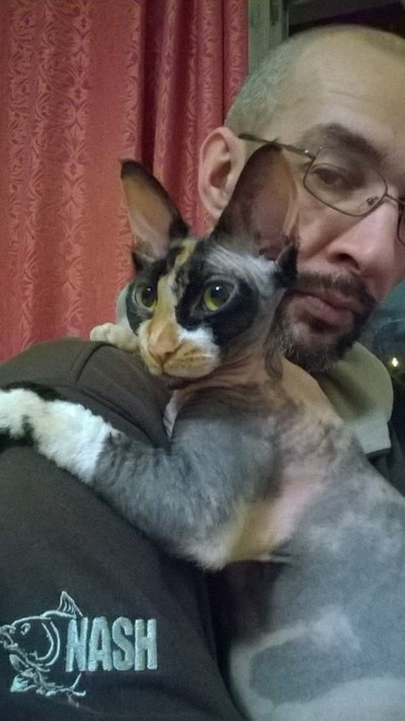 Незаконное проникновение