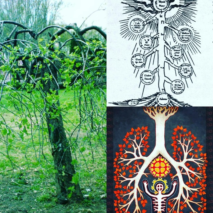 ����� ����� 2