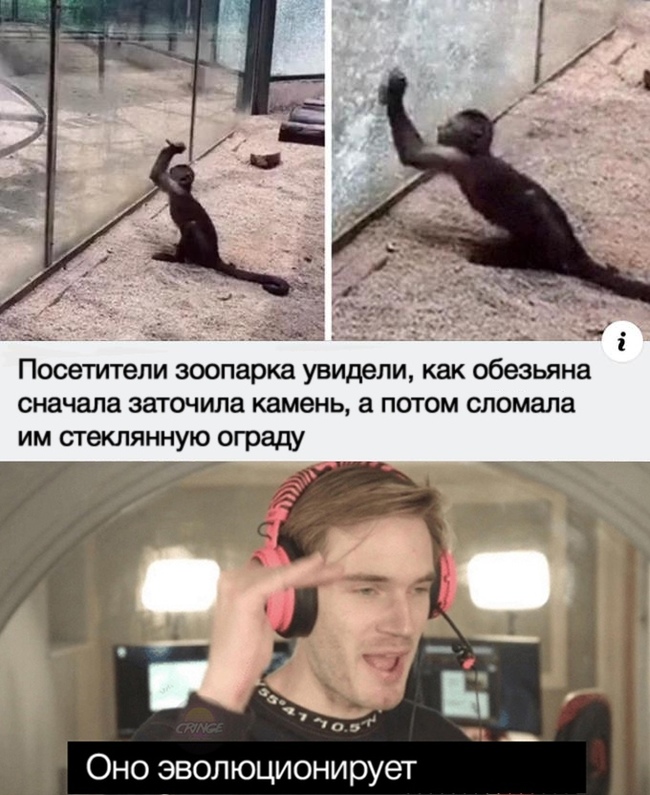    , , ,   , , Pewdiepie