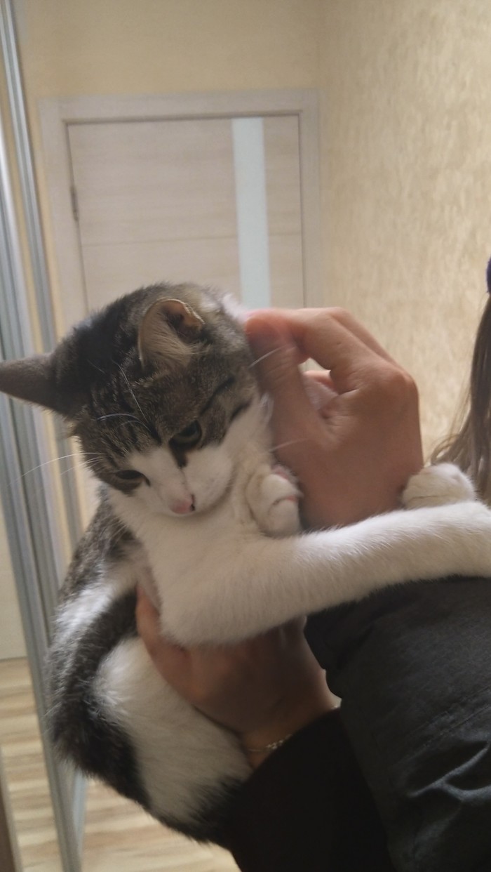 Ставрополь Что смотреть? Где покушать? Когда Не придумал