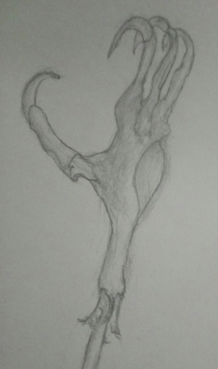 Покритикуйте, пожалуйста. Рисую около 6 месяцев. Извините за качество камеры