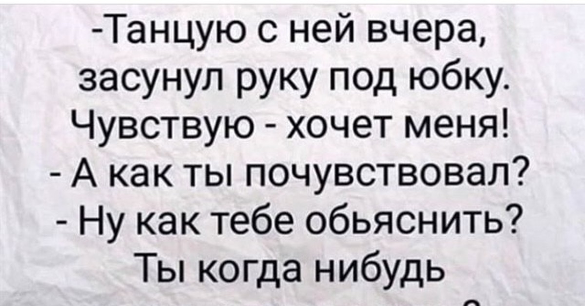А вы когда нибудь задумывались. Анекдот как лошадь с руки кормил. Анекдот про кормить лошадь с руки. Ты когда нибудь кормил коня с руки. Анекдоты про лошадей.