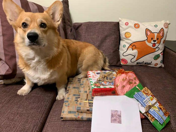 АДМ Москва - Санкт-Петербург