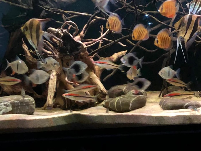 Виктор Щербина (АМК)