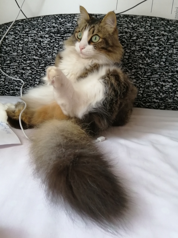 Это кто там ещё.!?