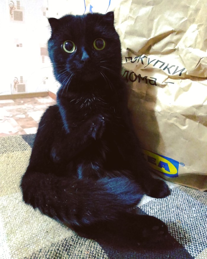 В смысле Новый год скоро?