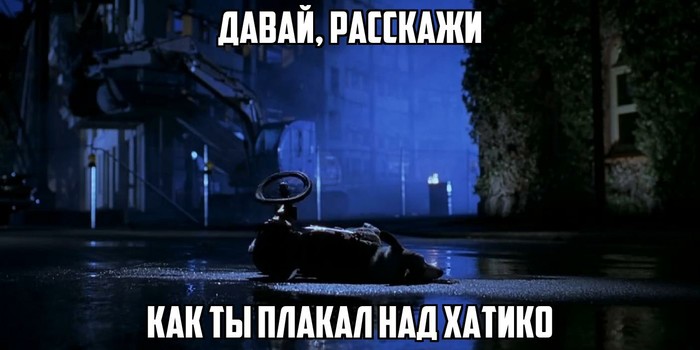 ������ ���� �������