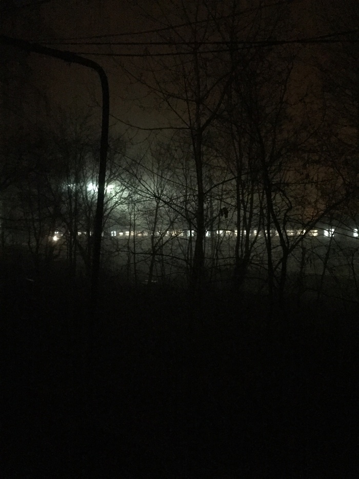 ������������ ������� ����