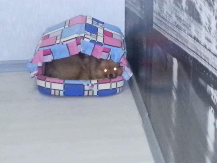 �������� �������