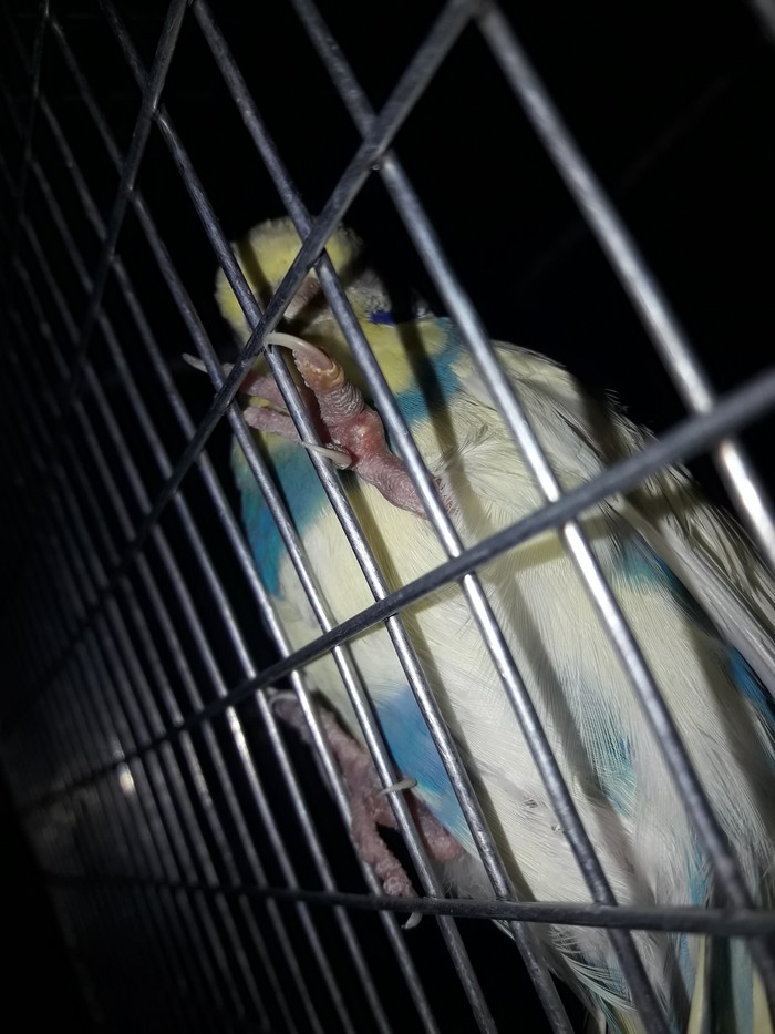  , , , , 