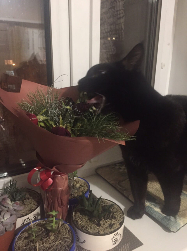 � ������ ����������